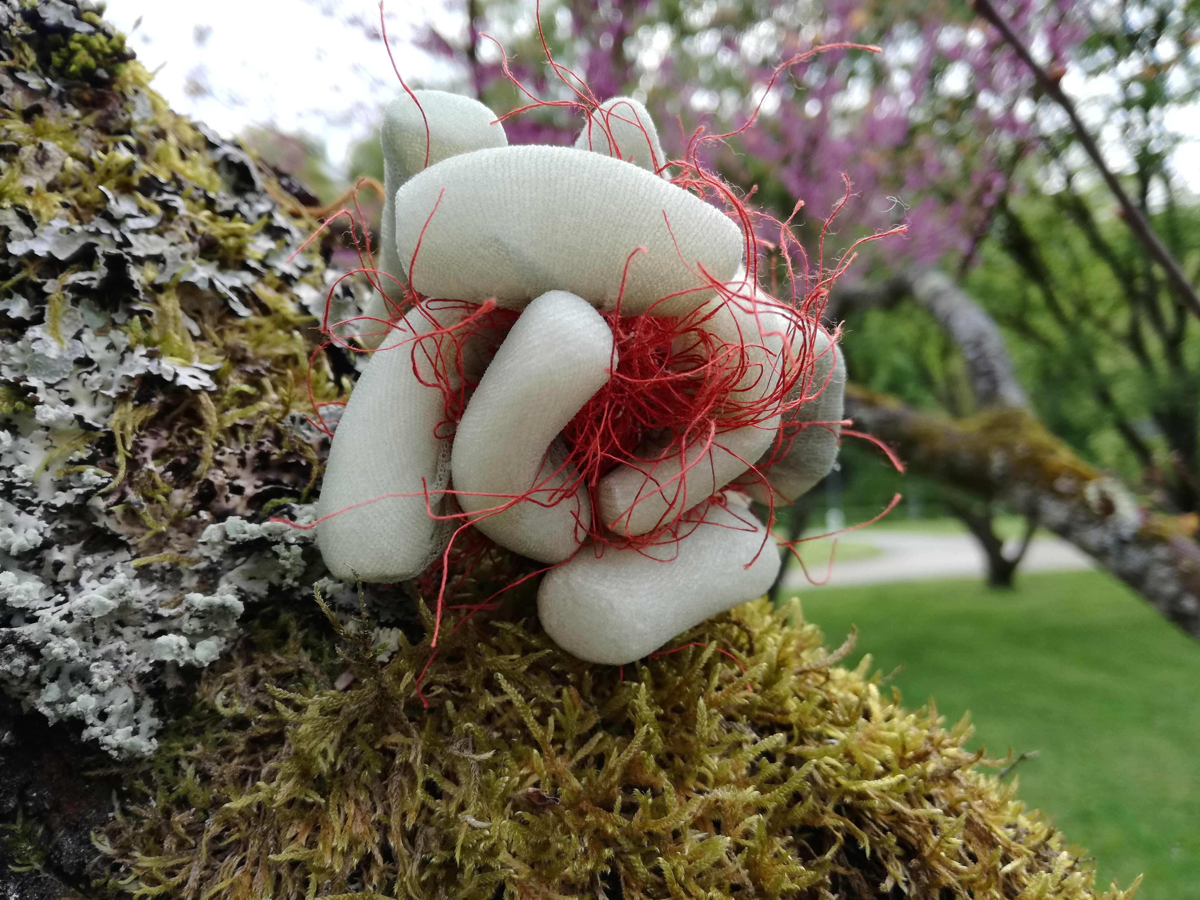 Impulse aus den Fortbildungen